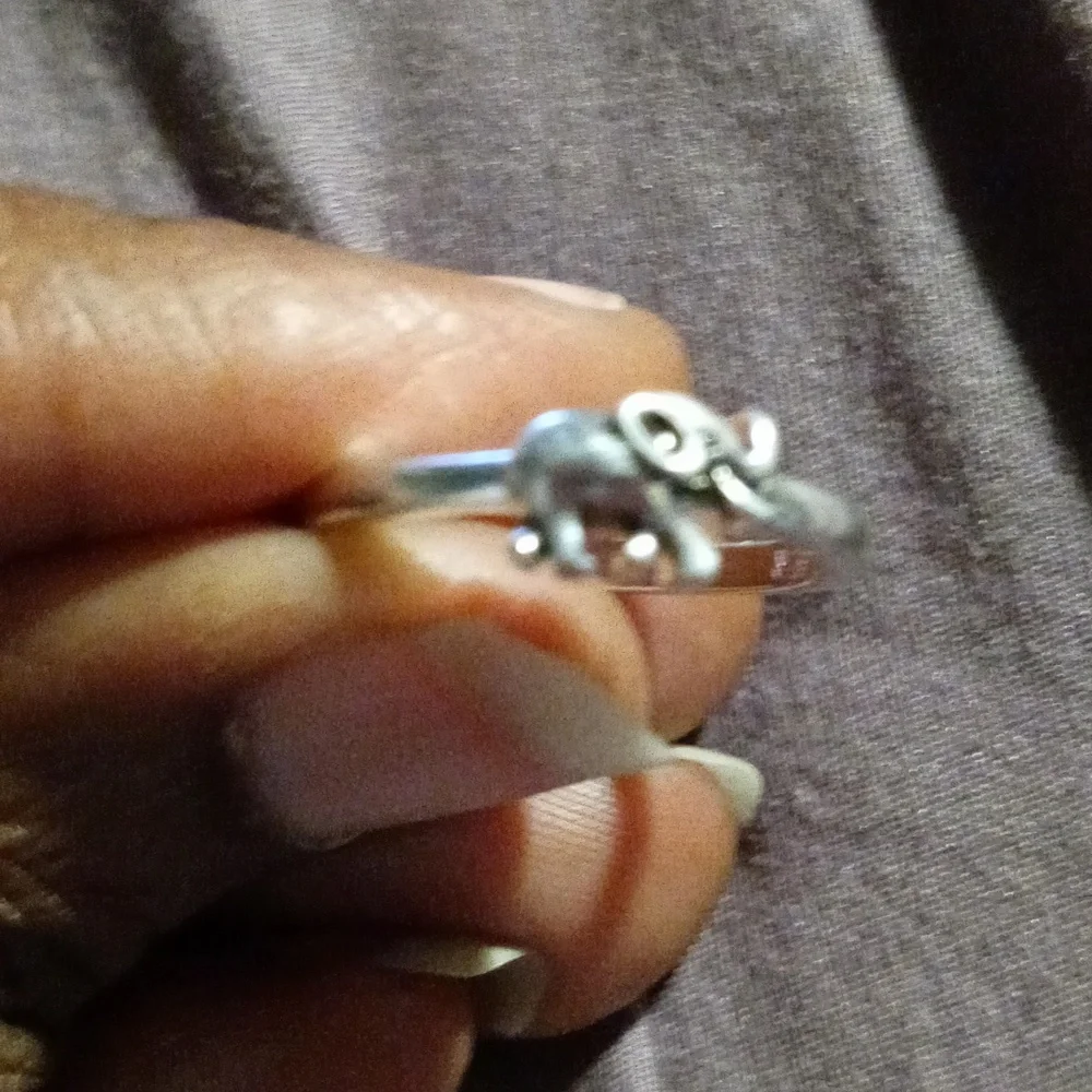 Elephant ring - Picture 2 of 4